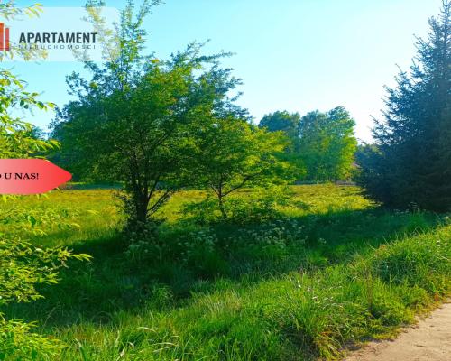 TYLKO U NAS !!!  ATRAKCYJNA ZIELONA BLISKO CENTRUM