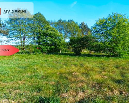 TYLKO U NAS !!!  ATRAKCYJNA ZIELONA BLISKO CENTRUM