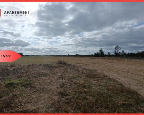 TYLKO U NAS! Cicha i spokojna okolica.