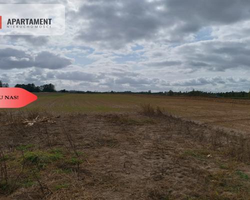 TYLKO U NAS! Cicha i spokojna okolica.