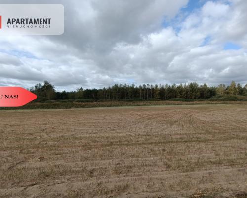 TYLKO U NAS! Cicha i spokojna okolica.