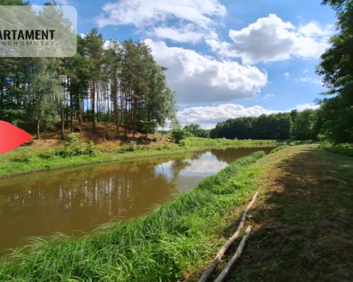 PIĘKNE SIEDLISKO! Dom, Staw, Las, DO NEGOCJACJI!