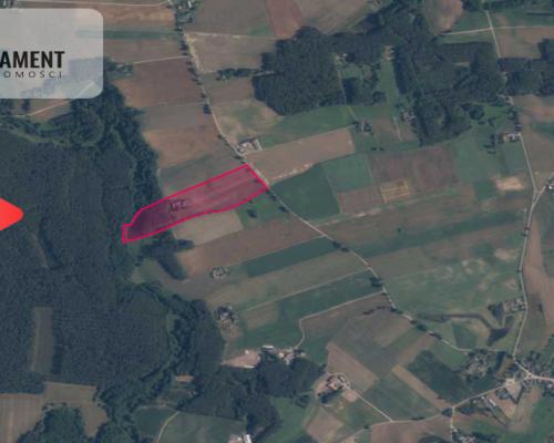 PIĘKNE SIEDLISKO! Dom, Staw, Las, DO NEGOCJACJI!