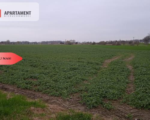 Działki/120 zł/m2/Wilczków