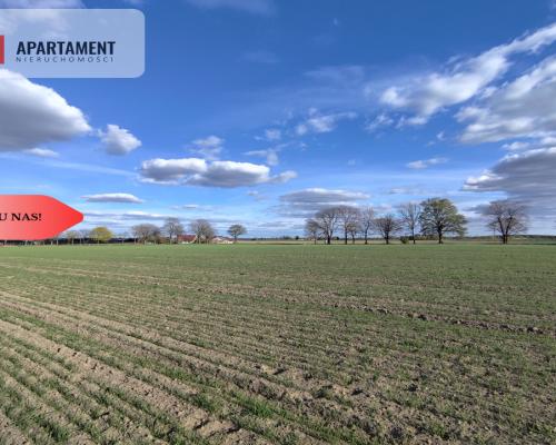 Działki blisko natury! Wiśniewa koło Sępólna!