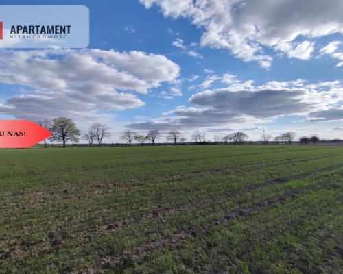 Działki blisko natury! Wiśniewa koło Sępólna!