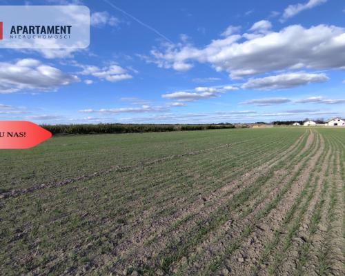 Działki blisko natury! Wiśniewa koło Sępólna!