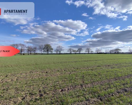 Działki blisko natury! Wiśniewa koło Sępólna!