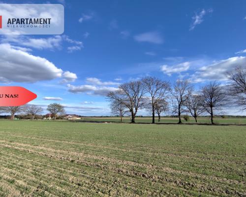 Działki blisko natury! Wiśniewa koło Sępólna!