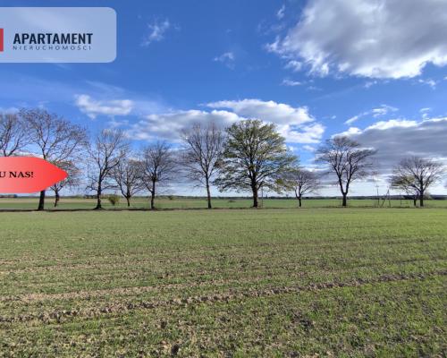 Działki blisko natury! Wiśniewa koło Sępólna!