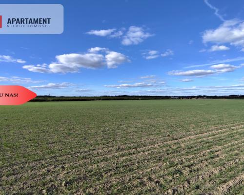 Działki blisko natury! Wiśniewa koło Sępólna!