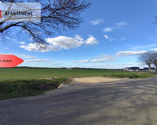 Działki blisko natury! Wiśniewa koło Sępólna!