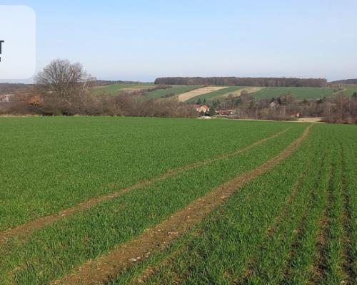 Działka pod inwestycję /Rolna/Cicha okolica