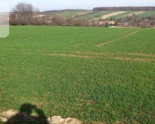 Działka pod inwestycję /Rolna/Cicha okolica