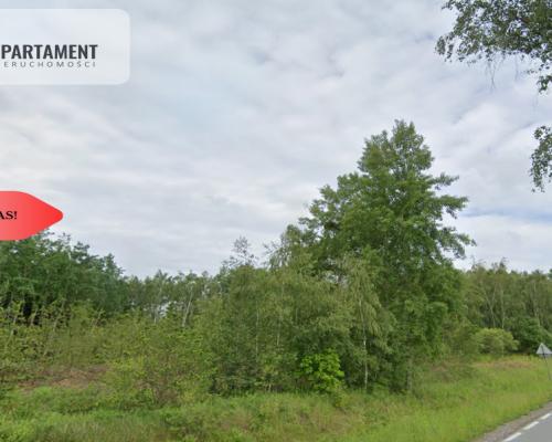 Działka leśna/Wały/5500 mkw.