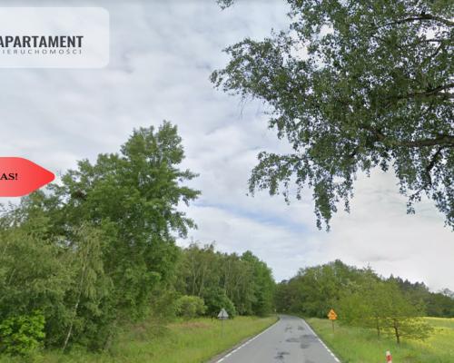 Działka leśna/Wały/5500 mkw.