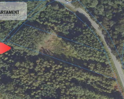 Działka leśna/Wały/5500 mkw.