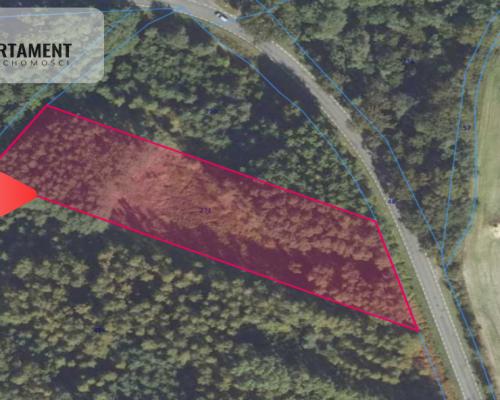 Działka leśna/Wały/5500 mkw.