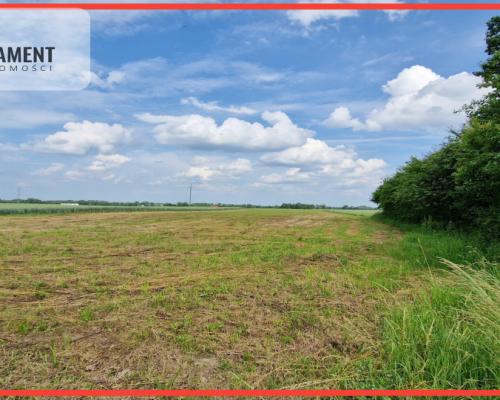 Działki w Wiewiórczynie!