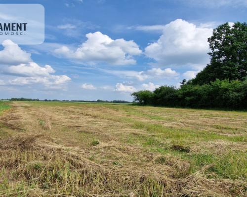 Działki w Wiewiórczynie!