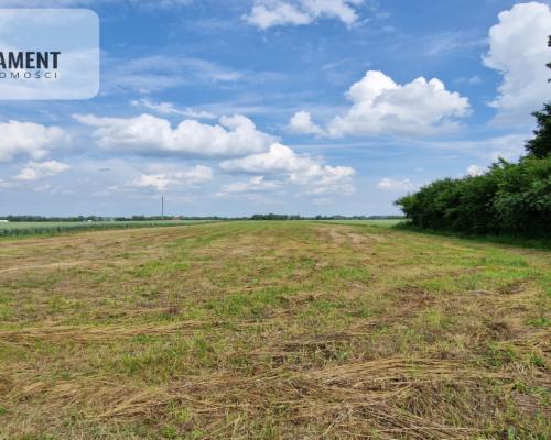 Działki w Wiewiórczynie!