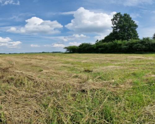 Działki w Wiewiórczynie!