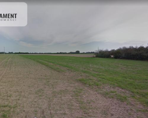 Działki w Wiewiórczynie!