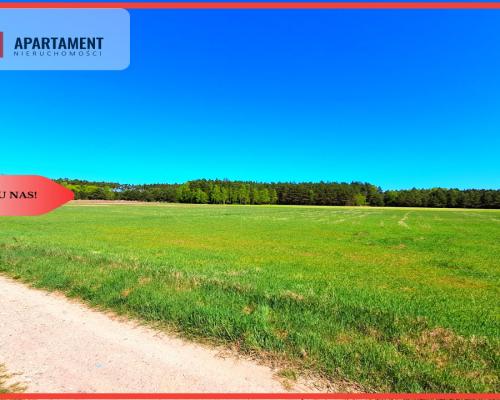 * Działka w gminie Łabiszyn