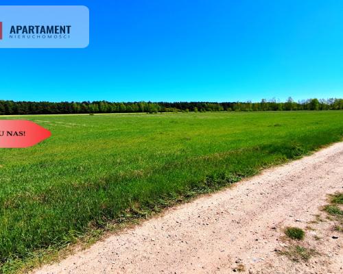 * Działka w gminie Łabiszyn