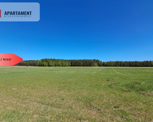 * Działka w gminie Łabiszyn