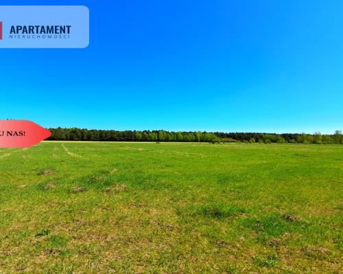 * Działka w gminie Łabiszyn