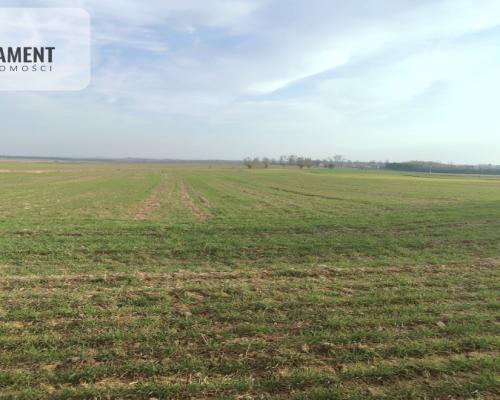 Obniżka CENY! Działka rolna w dobrej LOKALIZACJI!!