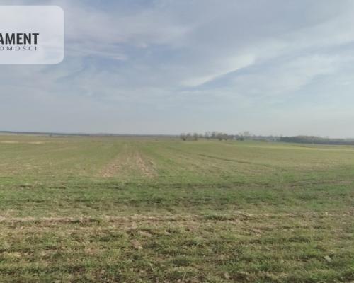 Obniżka CENY! Działka rolna w dobrej LOKALIZACJI!!