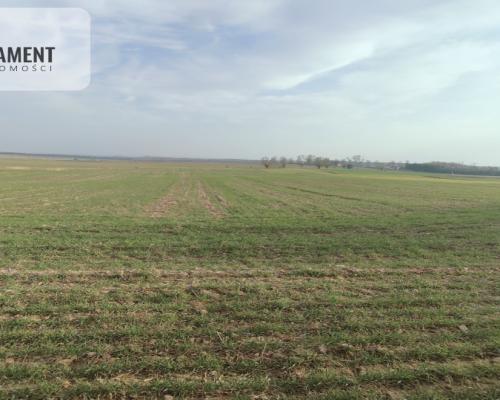 Obniżka CENY! Działka rolna w dobrej LOKALIZACJI!!