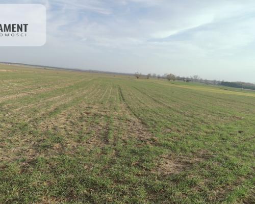 Obniżka CENY! Działka rolna w dobrej LOKALIZACJI!!