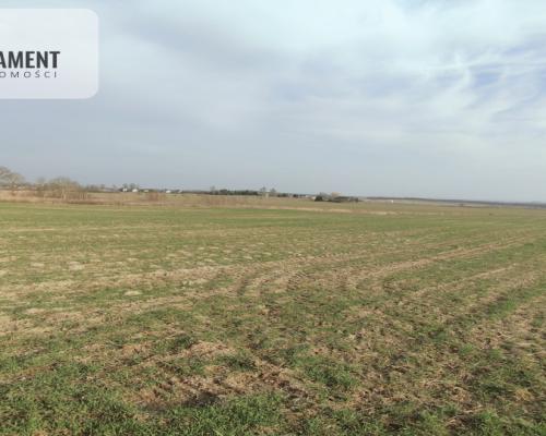 Obniżka CENY! Działka rolna w dobrej LOKALIZACJI!!