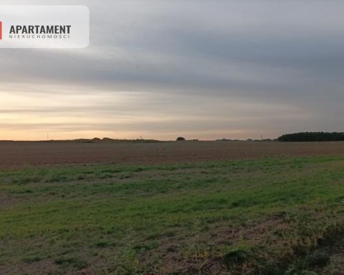 Działka w spokojnej okolicy