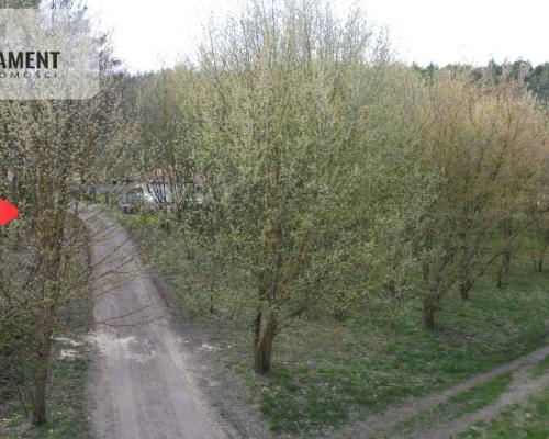 Działki budowlane w zaciszu lasu. Grabowiec.