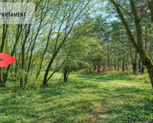 Działki budowlane w zaciszu lasu. Grabowiec.