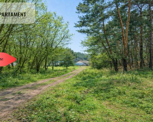 Działki budowlane w zaciszu lasu. Grabowiec.