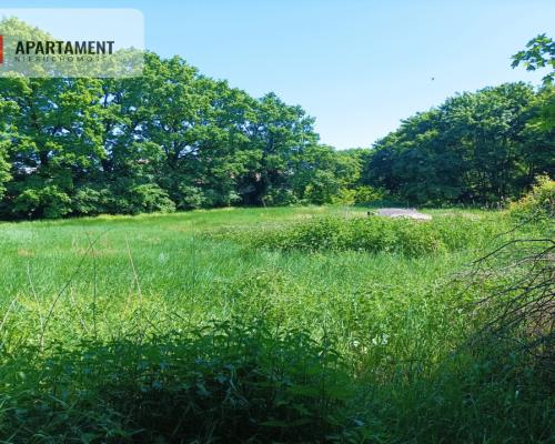 TYLKO U NAS !!!ATRAKCYJNA DZIAŁKA P/S/U