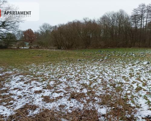 TYLKO U NAS !!!ATRAKCYJNA DZIAŁKA P/S/U