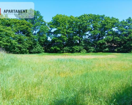 TYLKO U NAS !!!ATRAKCYJNA DZIAŁKA P/S/U