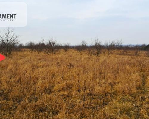 Tylko u nas. Działka z warunkami zabudowy!