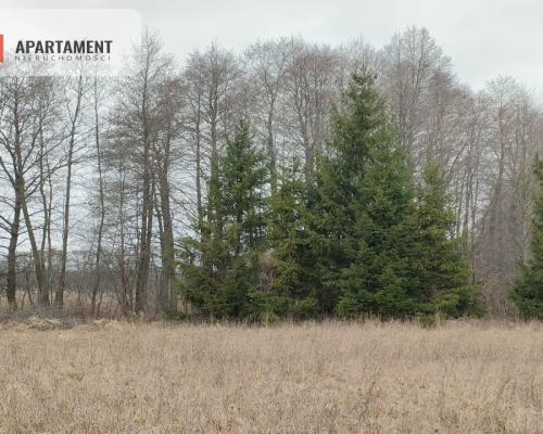 Działka MN z dostępem do jeziora/Bory Tucholskie