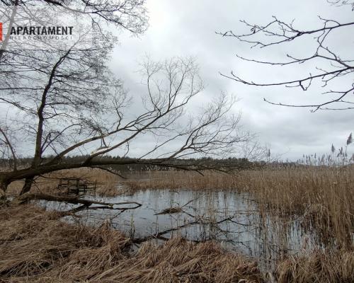 Działka MN z dostępem do jeziora/Bory Tucholskie