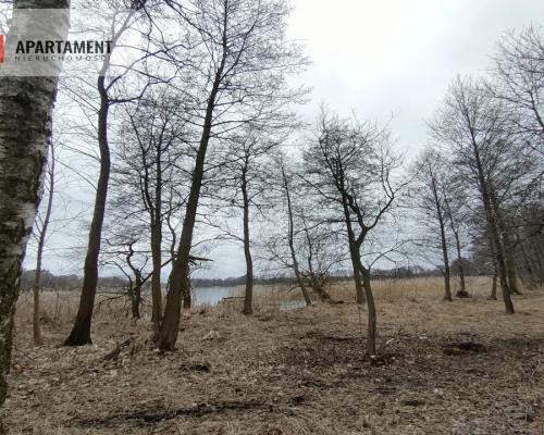 Działka MN z dostępem do jeziora/Bory Tucholskie