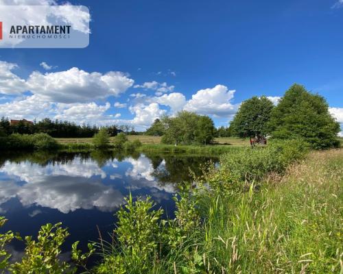 Atrakcyjna Działka Rolna w Nowej Kiszewie!