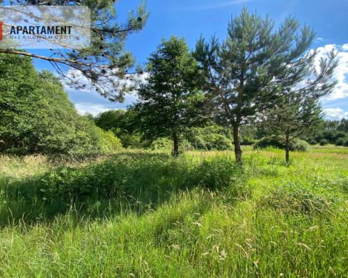 Atrakcyjna Działka Rolna w Nowej Kiszewie!