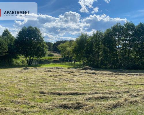 Atrakcyjna Działka Rolna w Nowej Kiszewie!